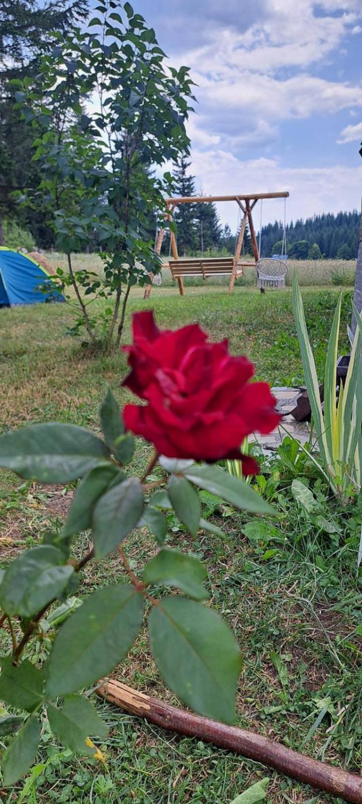 Eco Village Podgora Household Kaljevic Žabljak エクステリア 写真